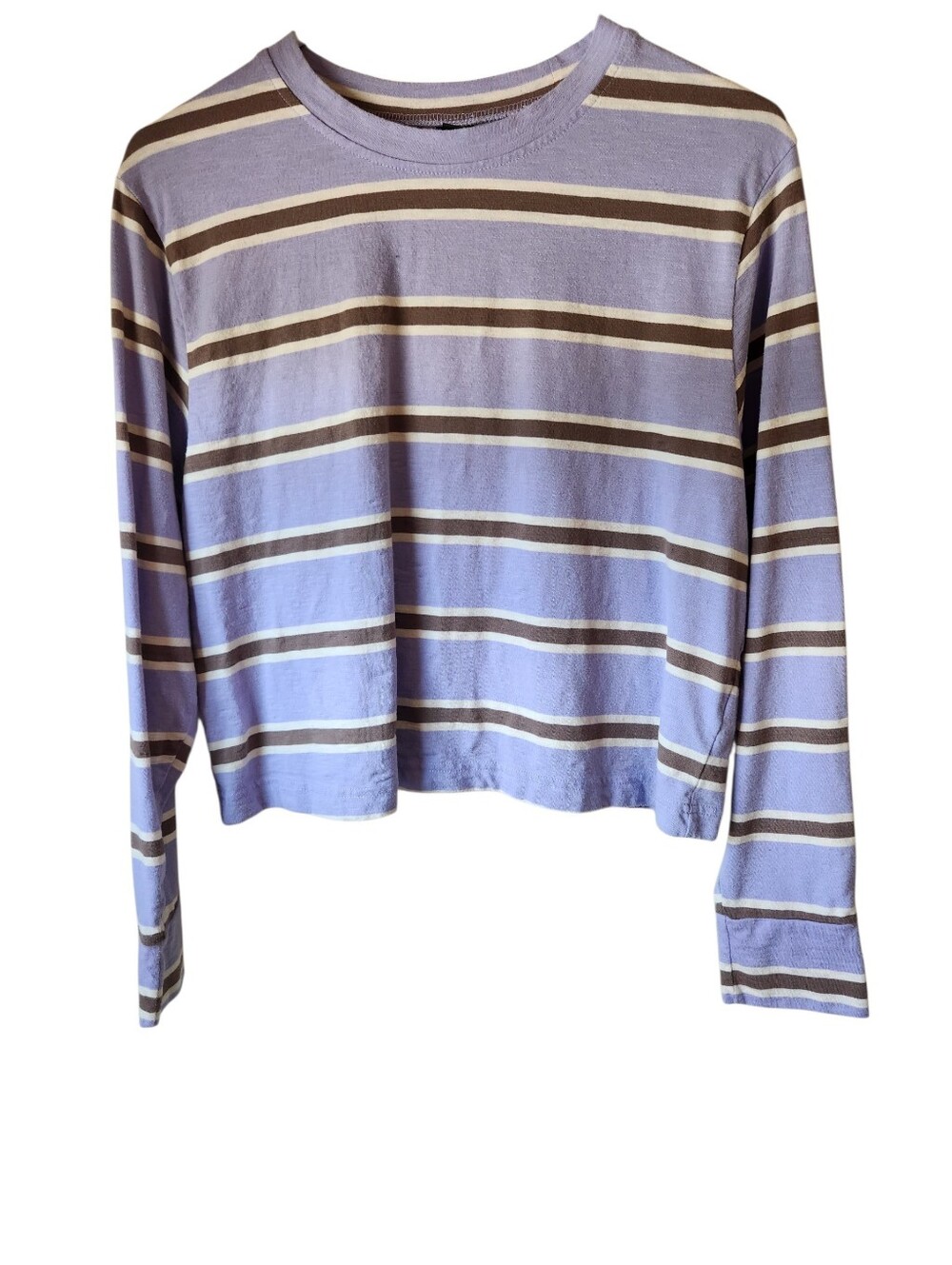 Wild Fable Lavender Striped Crewneck Long Sleeve Croped Top